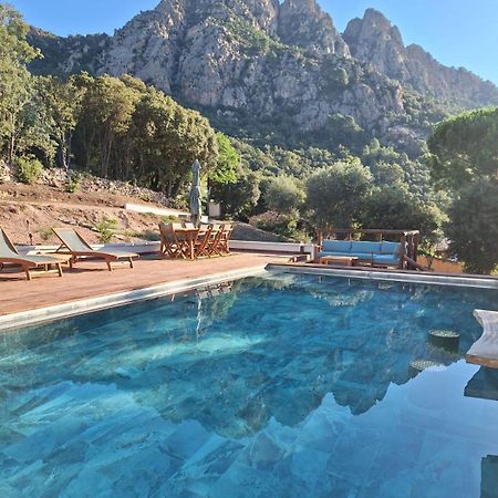 Appartement Jardin Et Piscine Les Anges Du Maquis Location Corse-Du-Sud Conca Eksteriør bilde