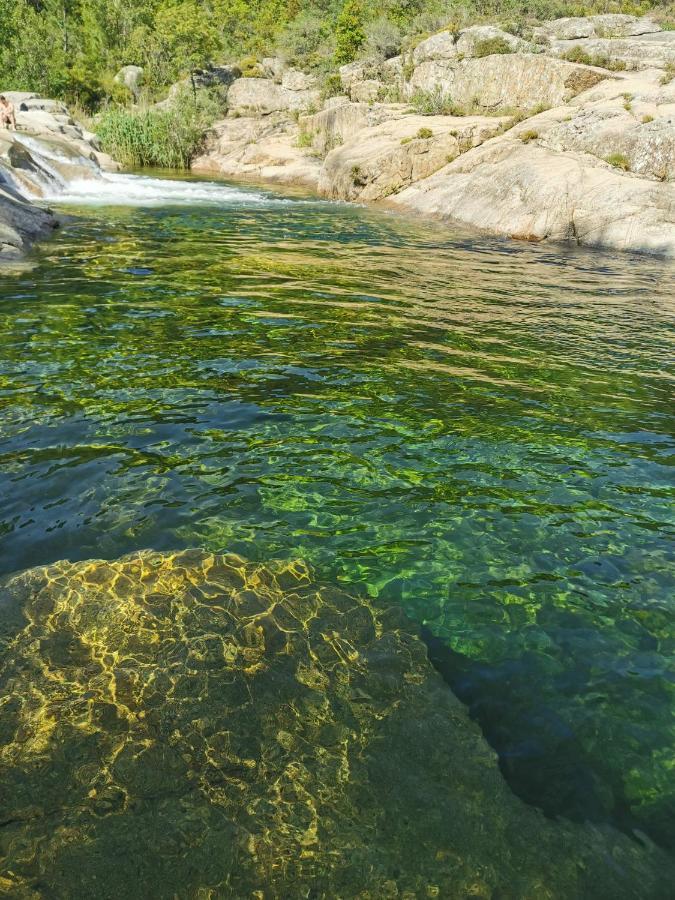 Appartement Jardin Et Piscine Les Anges Du Maquis Location Corse-Du-Sud Conca Eksteriør bilde