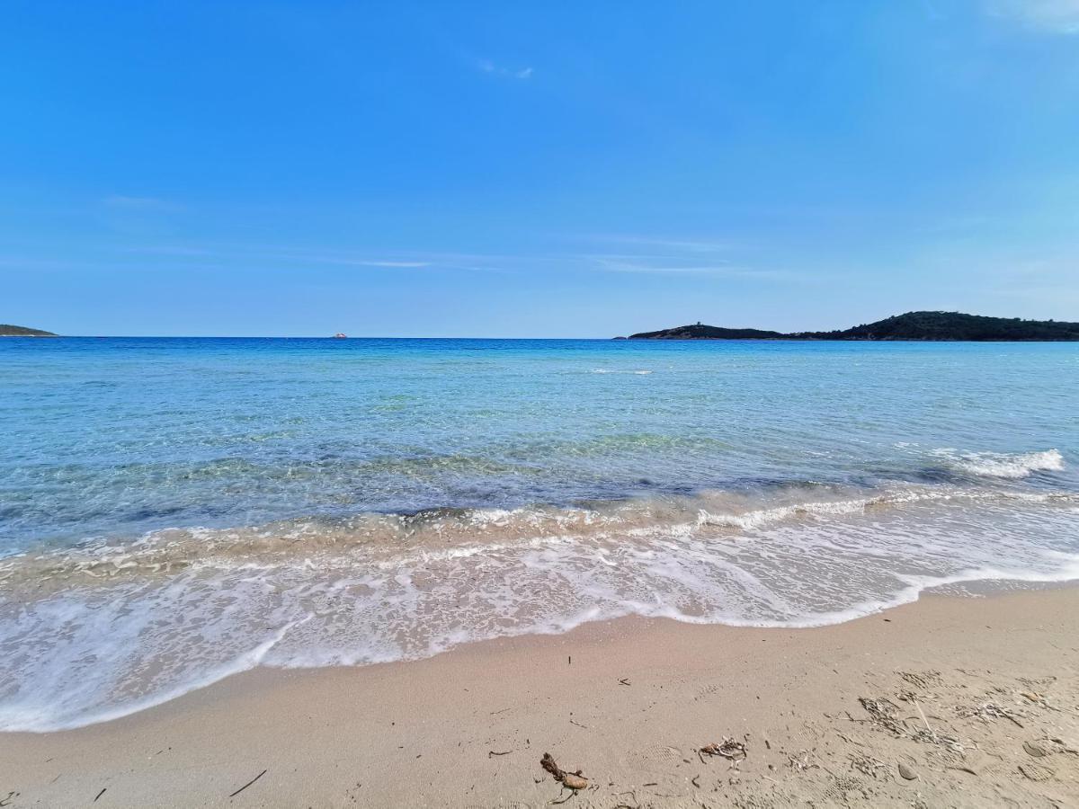 Appartement Jardin Et Piscine Les Anges Du Maquis Location Corse-Du-Sud Conca Eksteriør bilde